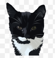 Animal Dog Cat Vector Portrait Illustration Ii On Behance Emoji,Tux Emoji