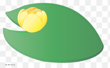 Reflection Clipart Water Clipart - Fresh Emoji,Lily Pad Emoji