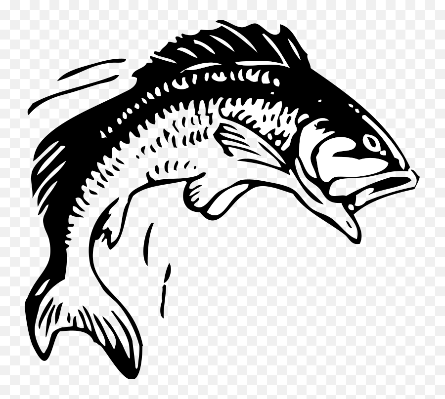 Salmon Clipart Fiah Salmon Fiah Transparent Free For - Fish Clipart Black And White Emoji,Gone Fishing Emoji