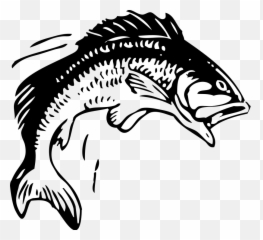 Salmon Clipart Fiah Salmon Fiah Transparent Free For - Fish Clipart Black And White Emoji,Gone Fishing Emoji