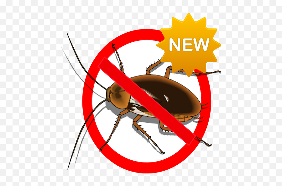 Anti Cockroach Repellent By American - Transparent Clipart Cockroach Cartoon Png Emoji,Cockroach Emoji