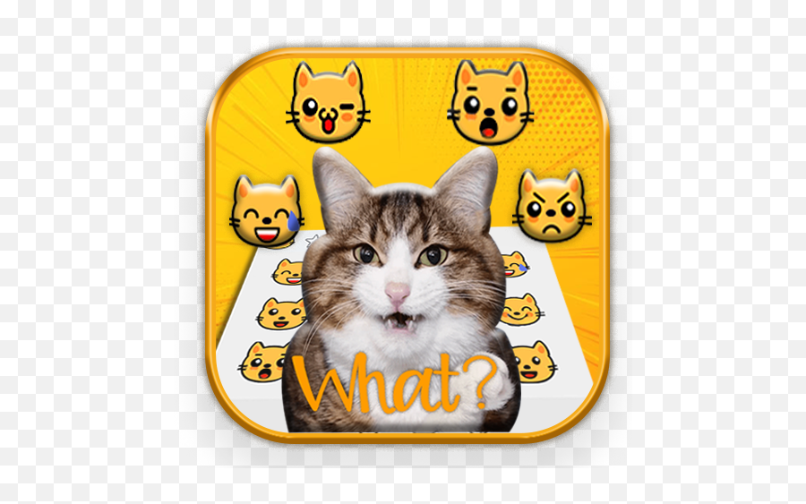 Crazy Cats Emoji Stickers U2013 Apps No Google Play - Cat Supply,Cat Emojis
