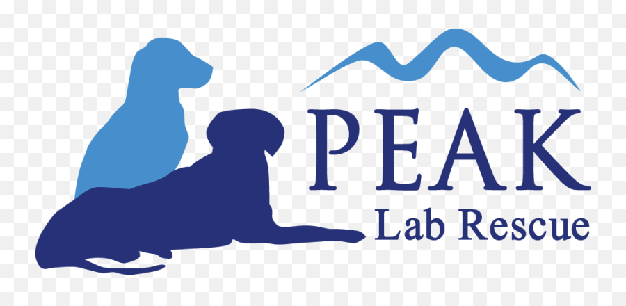 Peak Lab Rescue Dog Rescue Nc Faq - Breakthrough Emoji,What Emotions Do Dogs Have Sharon Maguire