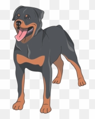 Rottweiler Dog Illustration - Transparent Png U0026 Svg Vector File Rottweiler Illustration Emoji,Animated Emoticons Download Dogs