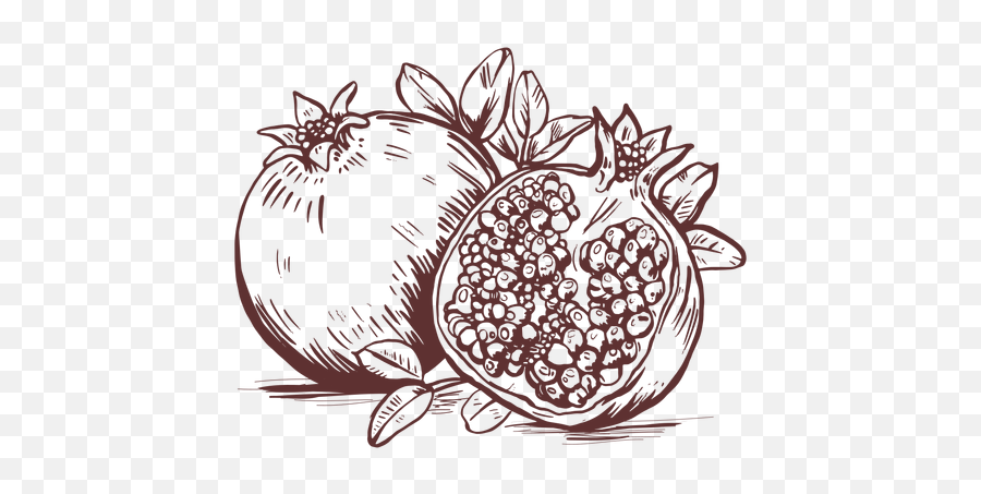 Fruits Pomegranate Fruit Sliced Hand Drawn - Transparent Png Pomegranate Drawing Emoji,Emoticon Fruits