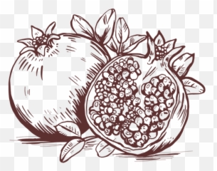 Fruits Pomegranate Fruit Sliced Hand Drawn - Transparent Png Pomegranate Drawing Emoji,Emoticon Fruits