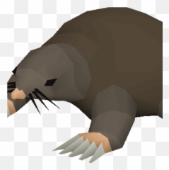 Giant Mole - Runescape Mole Transparent Png Free Download Mole Runescape Emoji,Runescape Animated Emojis