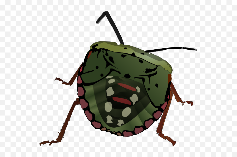 Cartoon Bugs Clipart - Stink Bug Clip Art Emoji,Insect Animated Emoticon