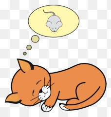 Animal Communication Pet Insights By Jennafer - Dreaming Clipart Emoji,Cockatiel Emotions