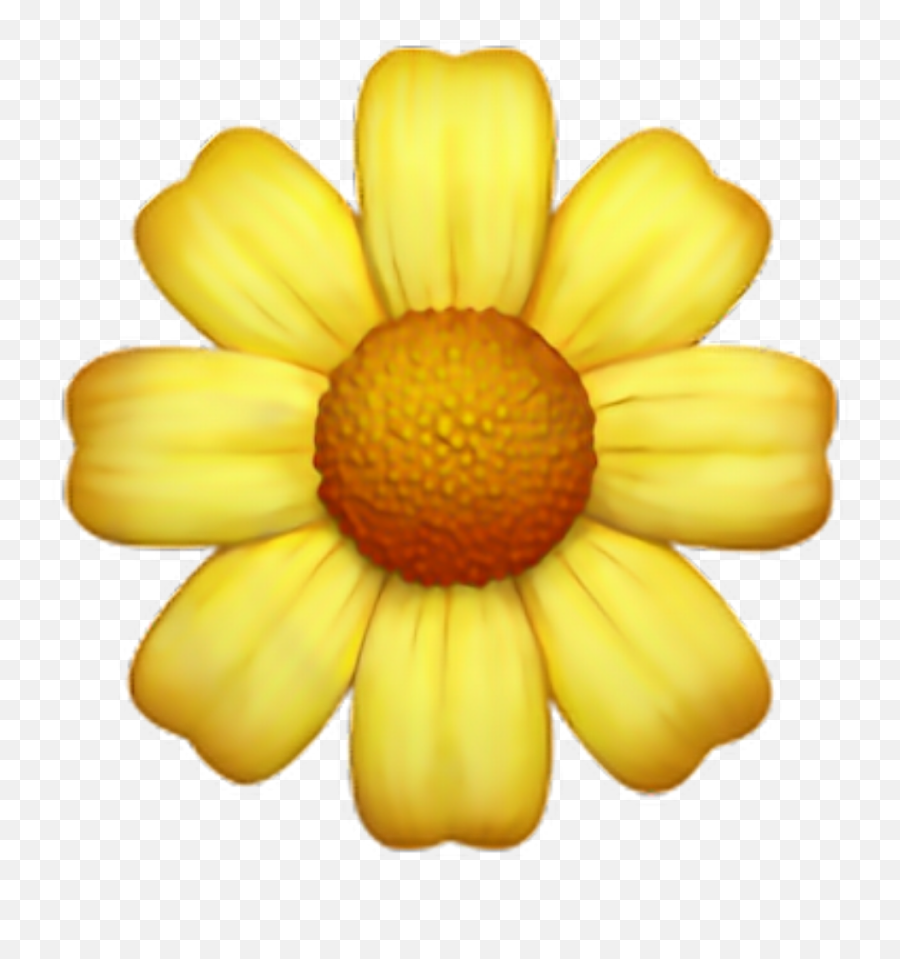 Flower Emoji Png Flower Emoji Png - Yellow Flower Emoji Png,Cherry Blossom Emoji
