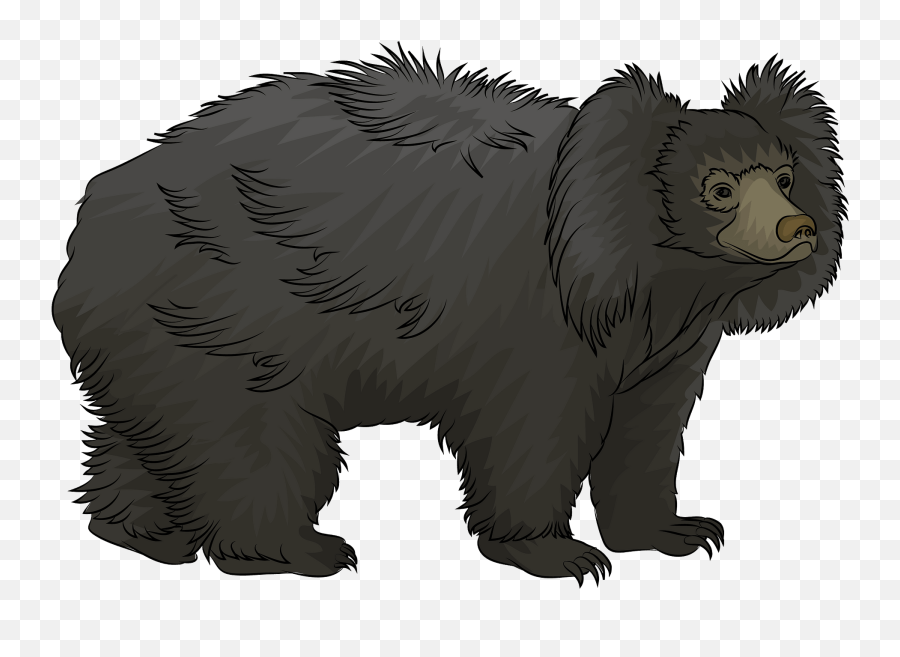 Sloth Bear Clipart Free Download Transparent Png Creazilla - Sloth Bear Clipart Emoji,Cute Christmas Emoticons Bear
