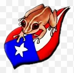 Coqui Puerto Rico Flag Clipart - Pr Flag Emoji,Puerto Rico Emoji