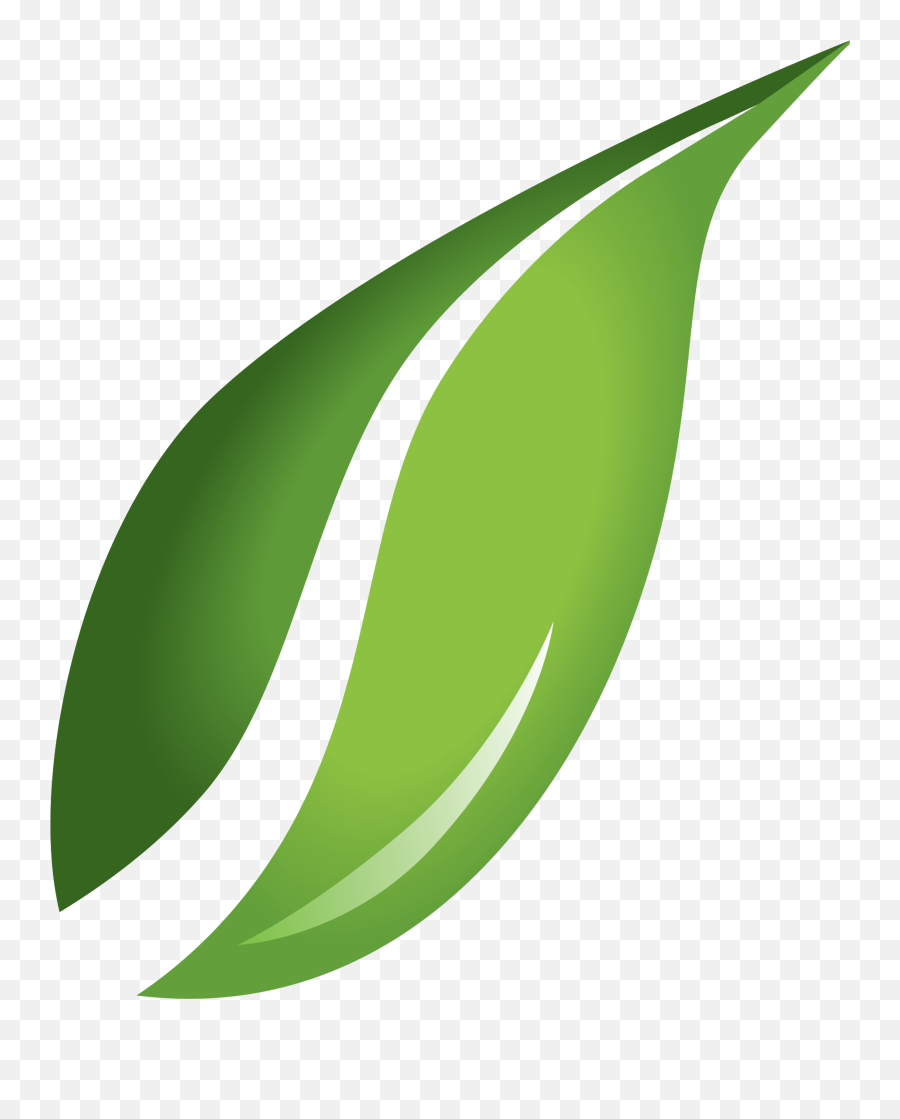 Free Leaf Icon Png Download Free Leaf - Clipart Leaf Transparent Background Emoji,Drat Emoticon