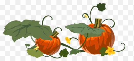 Buncee - Fresh Emoji,Pumpkin Outline Emoji Snapchat