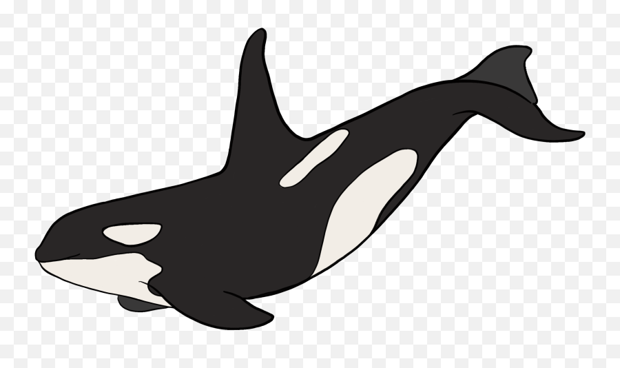 Compassionate Animal Charter For Compassion - Safari Ltd Orca Emoji,Elephant Share Emotions With Human