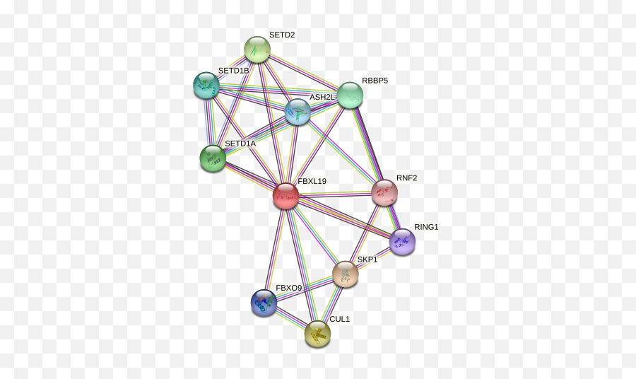 Fbxl19 Protein Human - String Interaction Network Emoji,Core Emotion Triangle