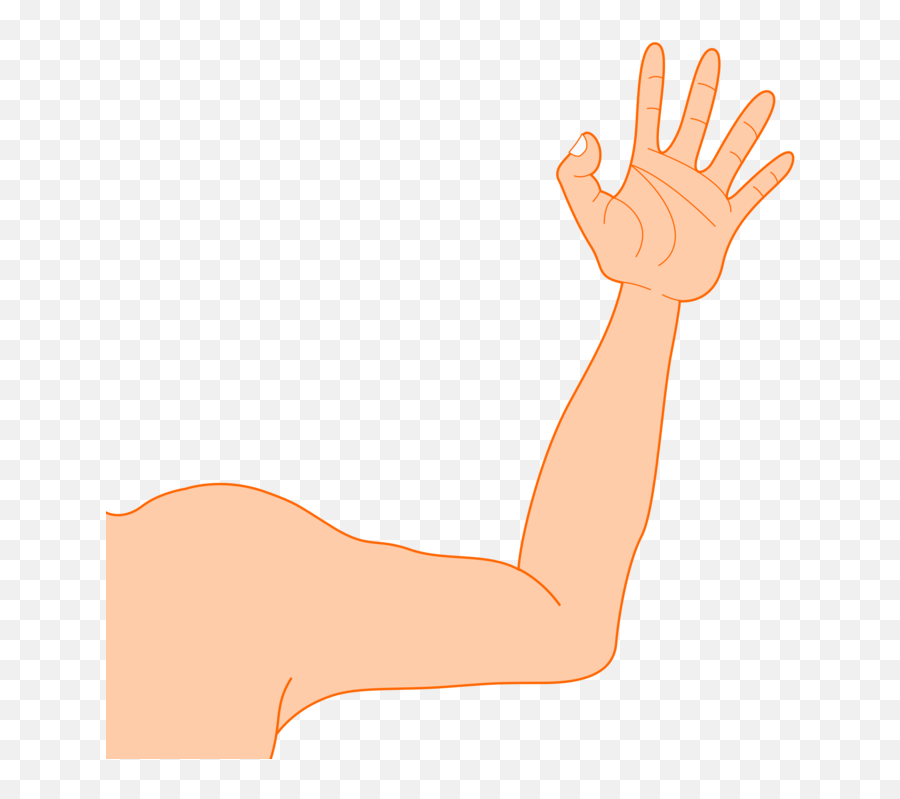 Musclethumborgan - Arm Clipart Png Download Full Size Emoji,Arms Up And Down Emoji