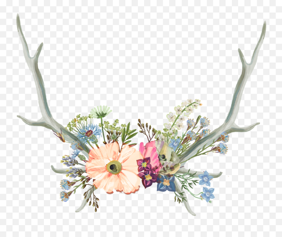 Flower Crowns Png - Antler Clipart Flower Crown Aesthetic Daisy Aesthetic Flower Crown Png Emoji,Antler Emoji