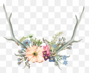 Flower Crowns Png - Antler Clipart Flower Crown Aesthetic Daisy Aesthetic Flower Crown Png Emoji,Antler Emoji