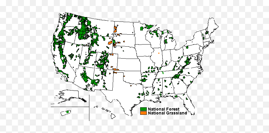 In The Us Is It True That You Cannot Freely Go To Forest - Map Of National Forests Emoji,Guess The Emoji Level 34answers