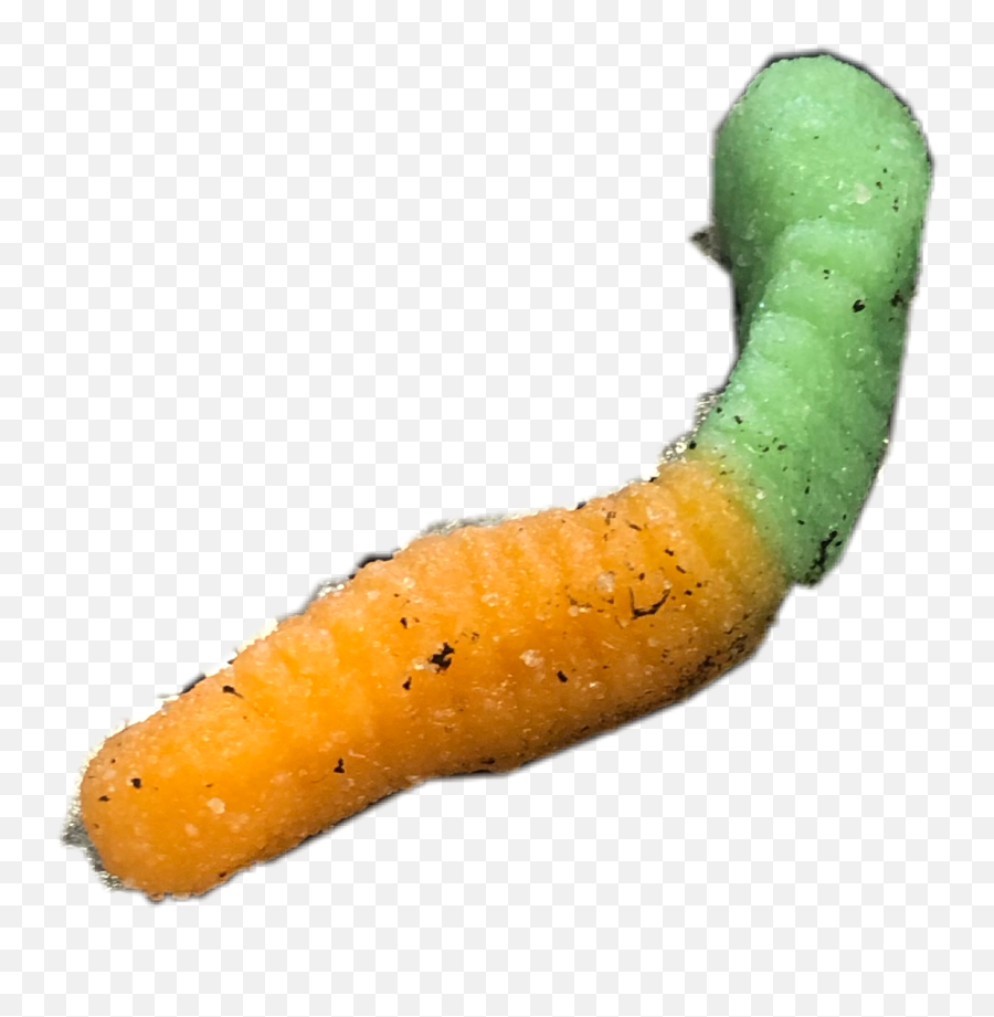 Dirty Gummy Gummiworm Yummy Worm - Parasitism Emoji,Gummy Worm Emoji