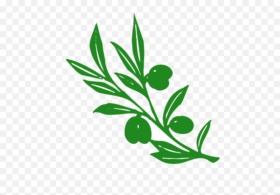 Olive Tree Branch Clipart - Olive Tree Leaves Art Emoji,Olive Branch Emoticon