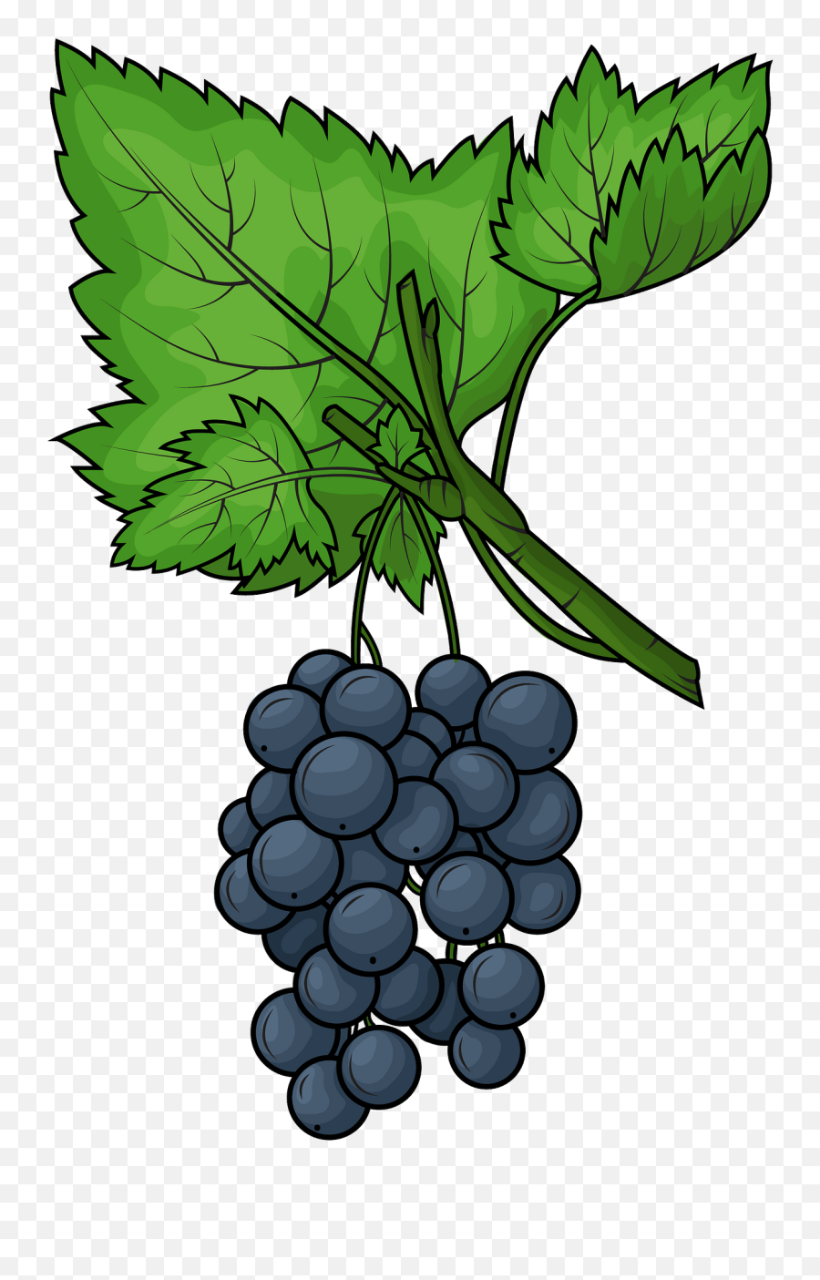 Black Grape Clipart - Grape Emoji,Grape Emoji