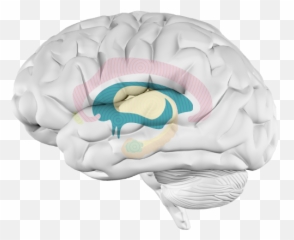 What Happens When - Brain Emoji,How To Put Emotion Into A Song