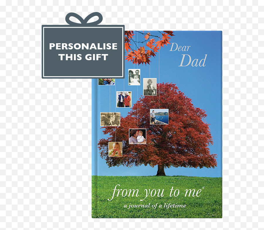 Dear Dad - Personalise It For Daddypapapa Etc Dear Daughter Book Emoji,Inside Out Dad's Emotions