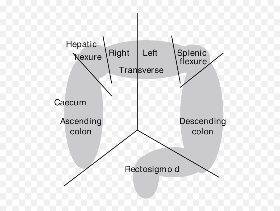 Abdomen Was Divided Into Seven Zones - Dot Emoji,Emotions Of The Splenic Flexure