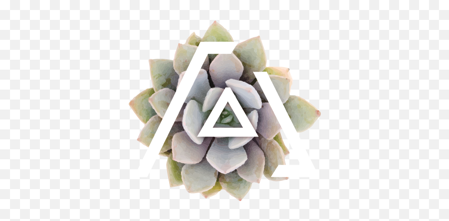 Reviews - Top View Succulents Png Emoji,Project Alices Emotions