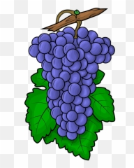 Raisins Noirs Sur Branche Image Clipart Emoji,Raisin Emoji