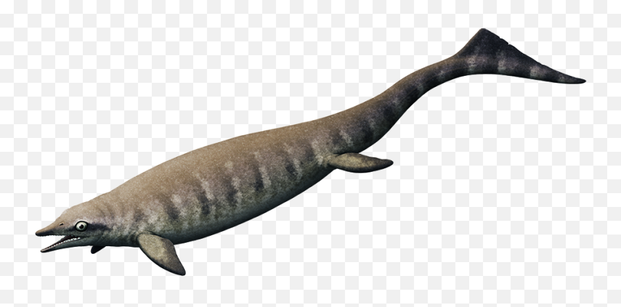 Nix - Marine Reptile Png Emoji,Hyhy Emoticon Meanings