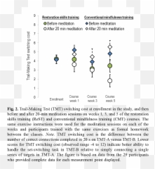 Pdf Building Mindfulness Bottom - Up Meditation In Natural Emoji,Release Unwanted Emotions Meditation