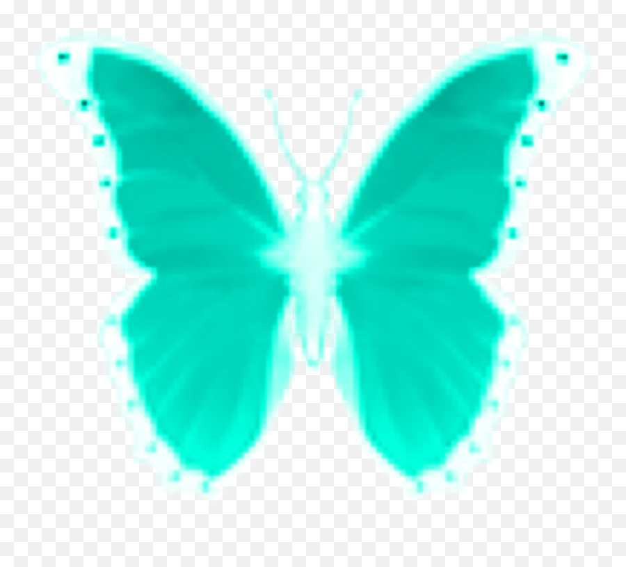 Butterfly Emoji Sticker,2 Blue Butterfly Emojis