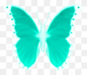 Butterfly Emoji Sticker,2 Blue Butterfly Emojis