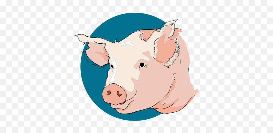 Lo Más Rápido Cerdo Cara Dibujo Emoji,Emoji Puerco