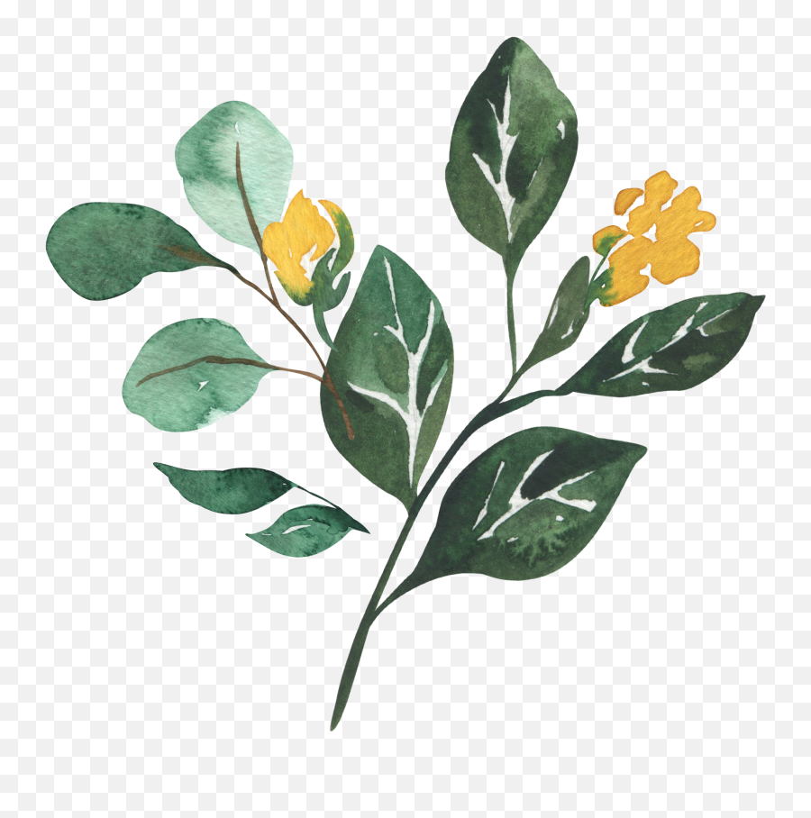 About - Abound U0026 Flourish Emoji,Positive Emoji Copy And Paste