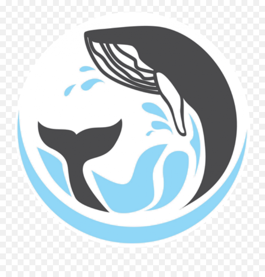 Whale Dream - Dolphin And Whale Watching Excursions In Mauritius Emoji,Dalphins Emoji Copy