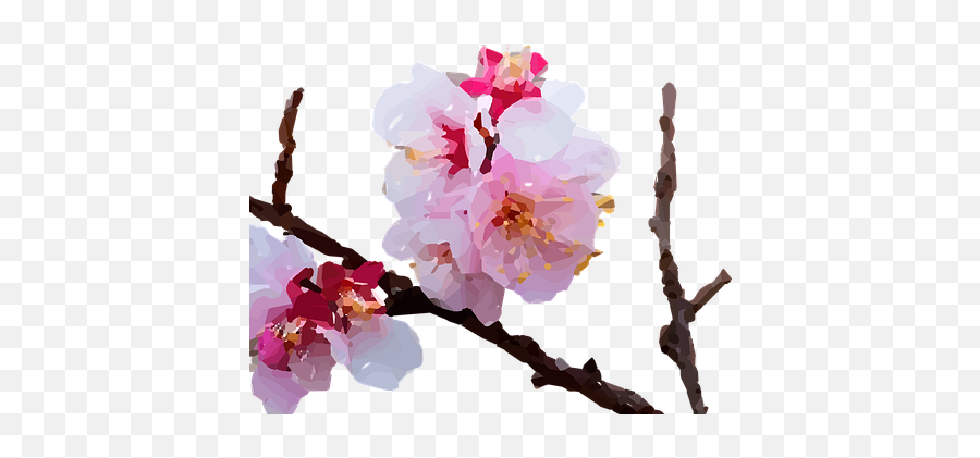20 Free Sakura U0026 Cherry Blossom Vectors Emoji,Cherry Bossom Emoji