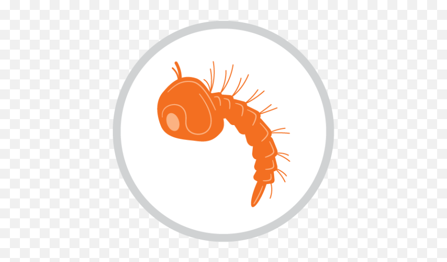 Cutter Backyard Mosquito And Bug Control Bundle 3 - Count Emoji,Emoji Biting Lips
