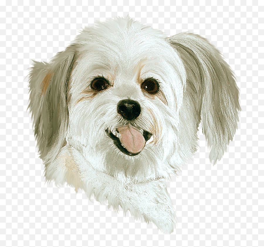 White Dog Emoji Transparent Page 1 - Line17qqcom White Dog,Doge Emoji