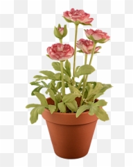 Convert Png To Gif - Gambar Pot Bunga Png Emoji,Jiff Emoji