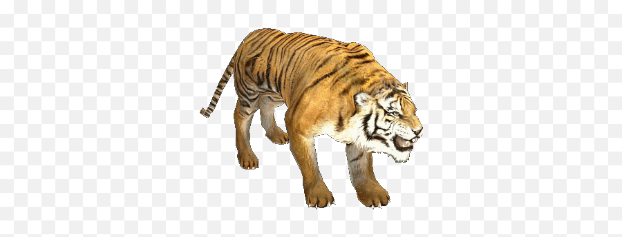 Cat Gif - Tiger Gif Transparent Background Emoji,Tiger Emoji