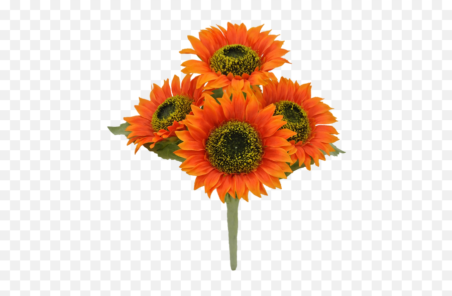 11 Sunflower Bush Blue 4 - Fresh Emoji,Facebook Sunflower Emoticons