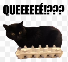 Gatos Sticker Pack - Stickers Cloud Emoji,Emojis De Gatitos
