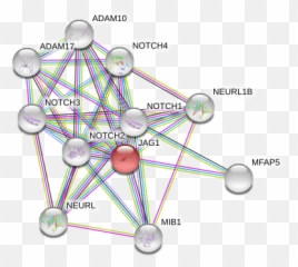 Jagged1 28h8 Rabbit Mab Emoji,Rabbit Text Emoticons Single Line