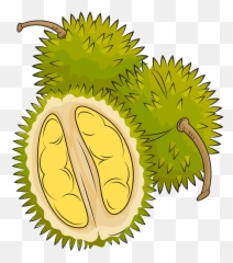 Three Durian Clipart Free Download Transparent Png Creazilla - Png Transparent Durian Cartoon Png Emoji,Smelly Emoji