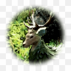 Verdure Buck - Elk Emoji,Buck Deer Emoji