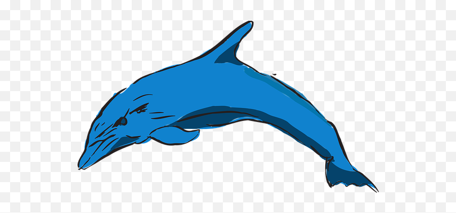 70 Free Dolphin U0026 Mammal Vectors - Pixabay Clip Art Emoji,Dolphin Emoji